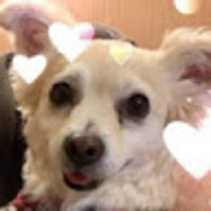 Meet your Posher, Libby